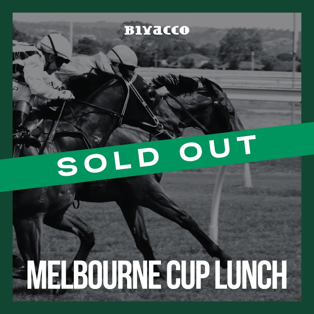 Bivacco Mel Cup sold out 1