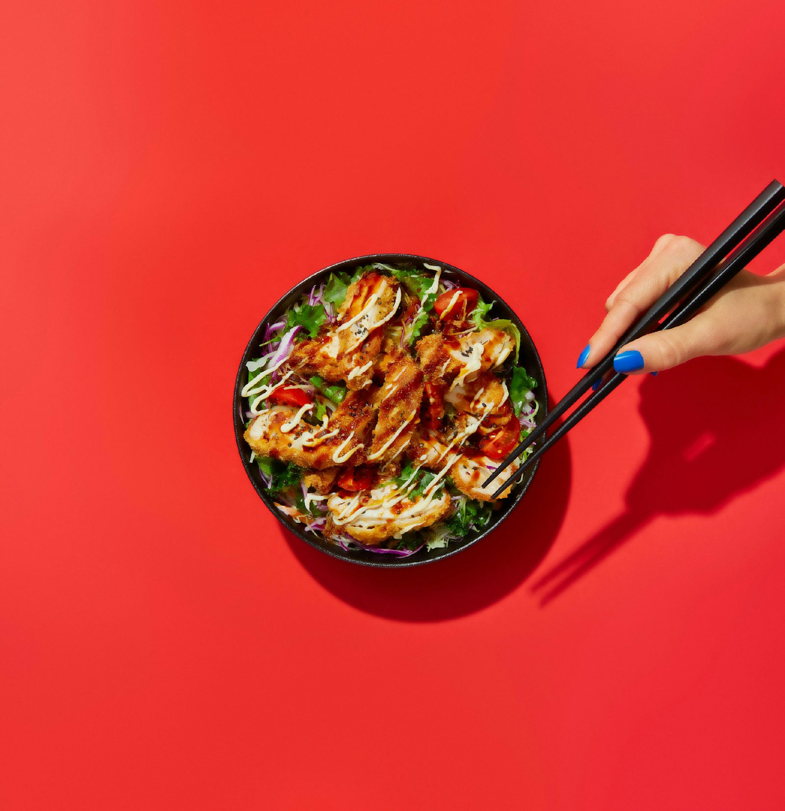 Chicken Katsu Donburi V2