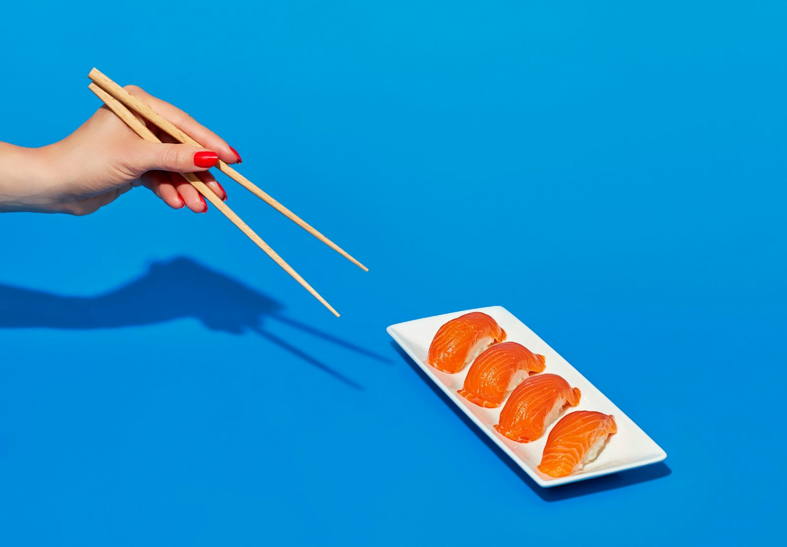 Salmon Nigiri nohandjpg